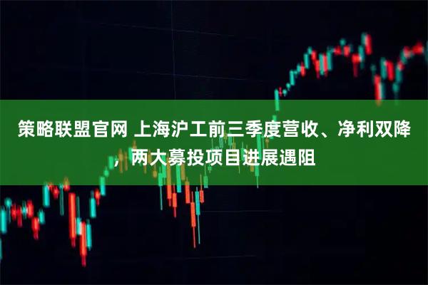 策略联盟官网 上海沪工前三季度营收、净利双降，两大募投项目进展遇阻