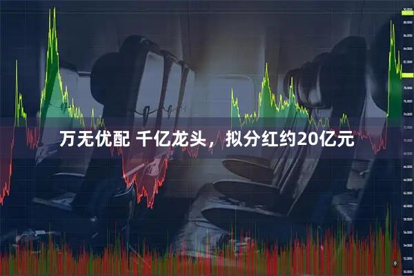 万无优配 千亿龙头，拟分红约20亿元