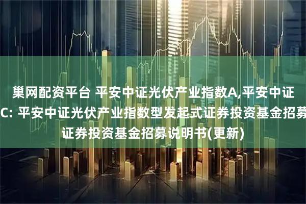 巢网配资平台 平安中证光伏产业指数A,平安中证光伏产业指数C: 平安中证光伏产业指数型发起式证券投资基金招募说明书(更新)