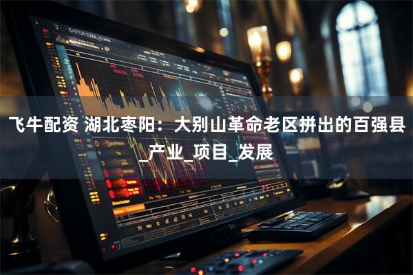 飞牛配资 湖北枣阳：大别山革命老区拼出的百强县_产业_项目_发展
