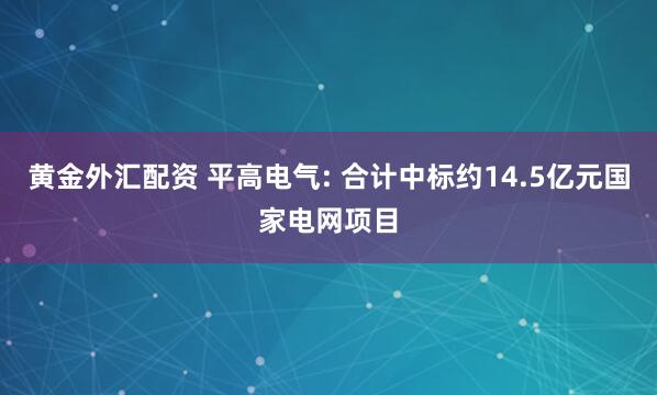 黄金外汇配资 平高电气: 合计中标约14.5亿元国家电网项目