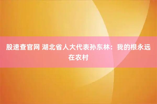 股速查官网 湖北省人大代表孙东林：我的根永远在农村